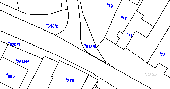Parcela st. 613/5 v KÚ Lesná u Znojma, Katastrální mapa
