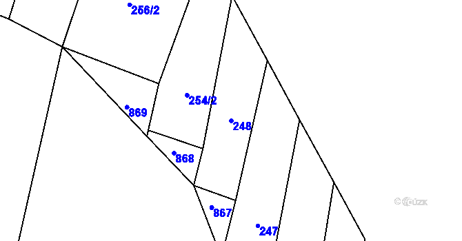 Parcela st. 248 v KÚ Lesní Jakubov, Katastrální mapa