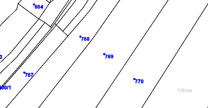 Parcela st. 769 v KÚ Lesní Jakubov, Katastrální mapa
