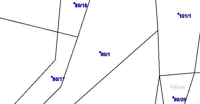 Parcela st. 80/1 v KÚ Leškovice, Katastrální mapa