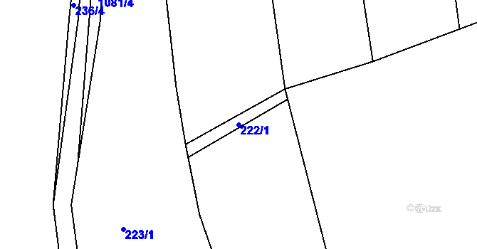 Parcela st. 222/1 v KÚ Svárkov, Katastrální mapa