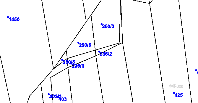 Parcela st. 236/2 v KÚ Svárkov, Katastrální mapa