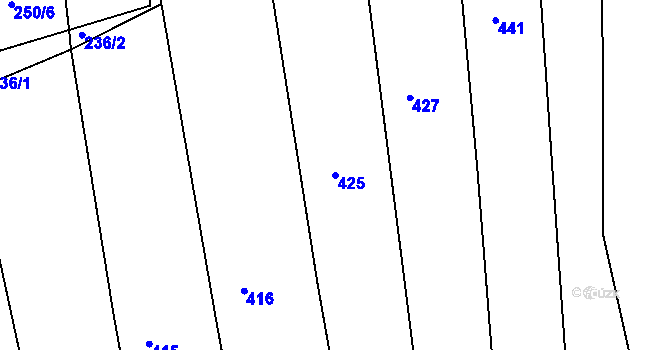 Parcela st. 425 v KÚ Svárkov, Katastrální mapa
