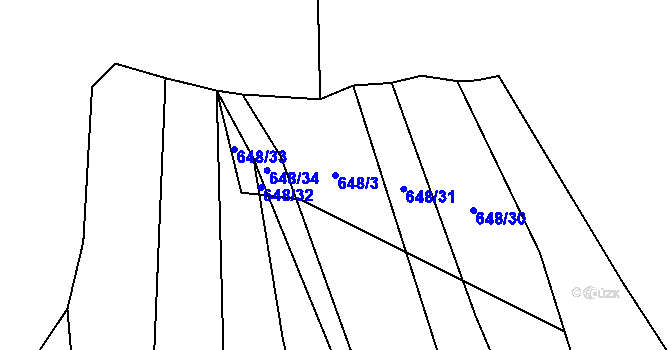 Parcela st. 648/3 v KÚ Třebětín u Letovic, Katastrální mapa