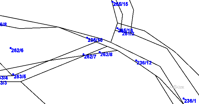 Parcela st. 262/8 v KÚ Levín u Berouna, Katastrální mapa