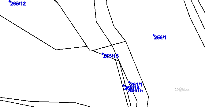 Parcela st. 265/13 v KÚ Levín u Berouna, Katastrální mapa