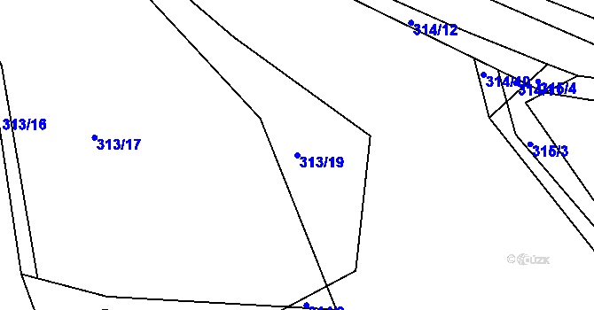 Parcela st. 313/19 v KÚ Levín u Berouna, Katastrální mapa