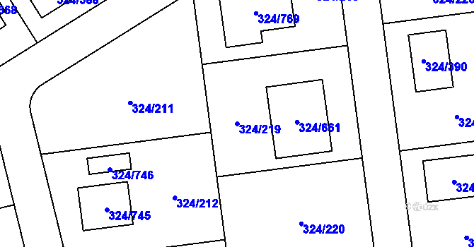 Parcela st. 324/219 v KÚ Levín u Berouna, Katastrální mapa