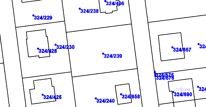 Parcela st. 324/239 v KÚ Levín u Berouna, Katastrální mapa