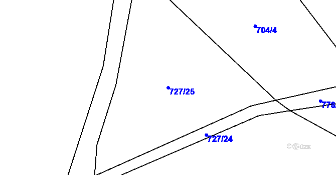 Parcela st. 727/25 v KÚ Vestec u Hořiček, Katastrální mapa