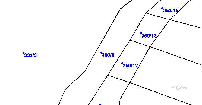 Parcela st. 350/1 v KÚ Lhota u Choryně, Katastrální mapa