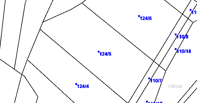 Parcela st. 124/5 v KÚ Lhotice u Jemnice, Katastrální mapa