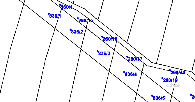 Parcela st. 836/3 v KÚ Lhotice u Jemnice, Katastrální mapa