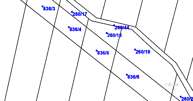 Parcela st. 836/5 v KÚ Lhotice u Jemnice, Katastrální mapa