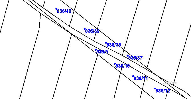 Parcela st. 836/9 v KÚ Lhotice u Jemnice, Katastrální mapa
