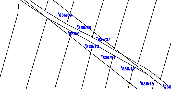 Parcela st. 836/10 v KÚ Lhotice u Jemnice, Katastrální mapa