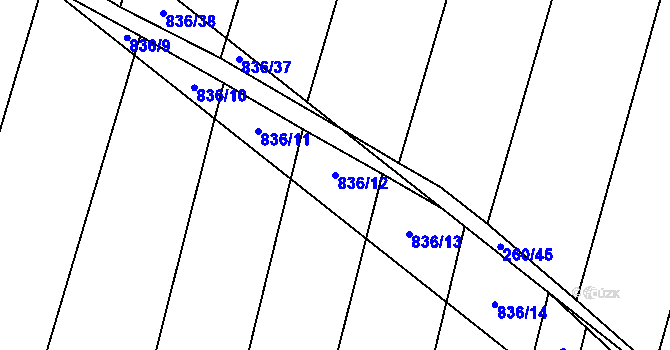 Parcela st. 836/12 v KÚ Lhotice u Jemnice, Katastrální mapa