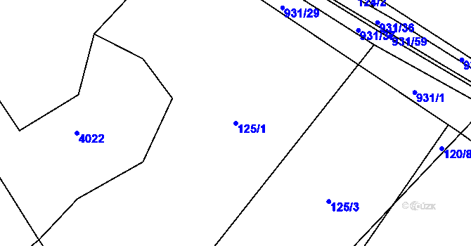 Parcela st. 125/1 v KÚ Lhoty u Potštejna, Katastrální mapa