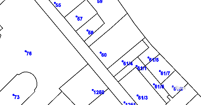 Parcela st. 60 v KÚ Libčice nad Vltavou, Katastrální mapa