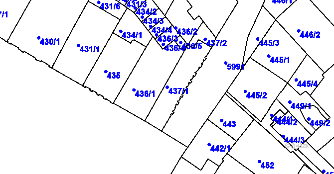Parcela st. 437/1 v KÚ Liberec, Katastrální mapa