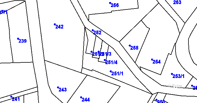 Parcela st. 251/3 v KÚ Ruprechtice, Katastrální mapa