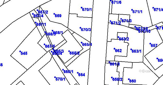 Parcela st. 665/1 v KÚ Ruprechtice, Katastrální mapa