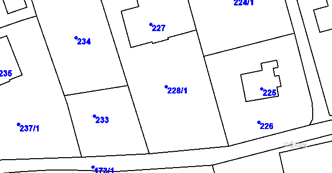 Parcela st. 228/1 v KÚ Nové Pavlovice, Katastrální mapa