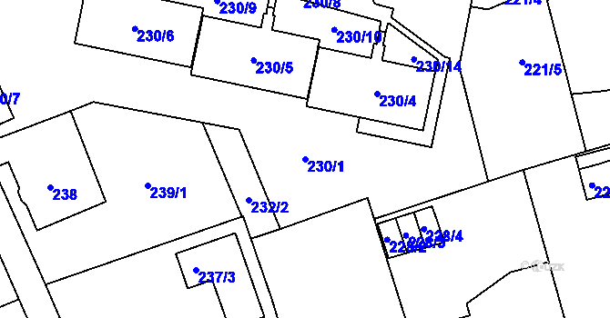 Parcela st. 230/1 v KÚ Nové Pavlovice, Katastrální mapa