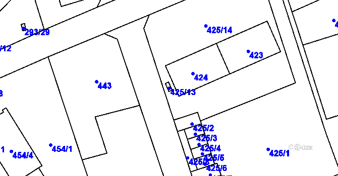 Parcela st. 425/13 v KÚ Nové Pavlovice, Katastrální mapa