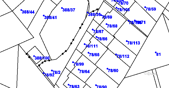 Parcela st. 78/111 v KÚ Dolní Hanychov, Katastrální mapa