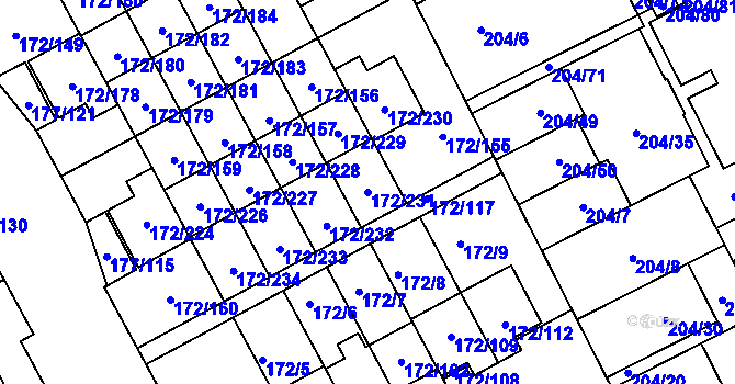 Parcela st. 172/231 v KÚ Dolní Hanychov, Katastrální mapa
