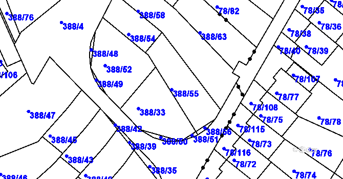 Parcela st. 388/55 v KÚ Horní Hanychov, Katastrální mapa