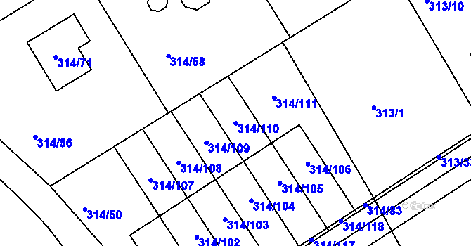Parcela st. 314/110 v KÚ Horní Hanychov, Katastrální mapa