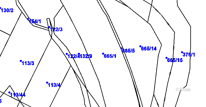 Parcela st. 665/1 v KÚ Libočany, Katastrální mapa