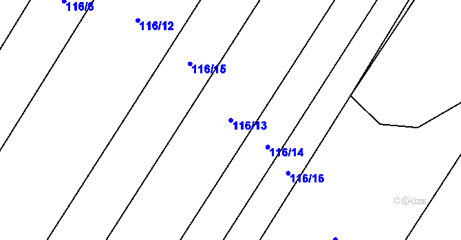Parcela st. 116/13 v KÚ Řepnice, Katastrální mapa