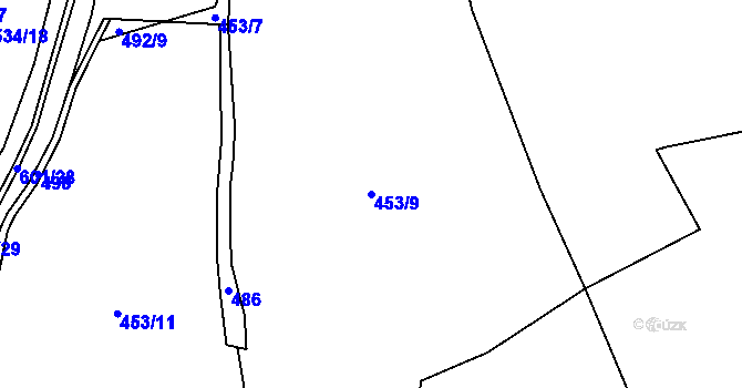 Parcela st. 453/9 v KÚ Řepnice, Katastrální mapa