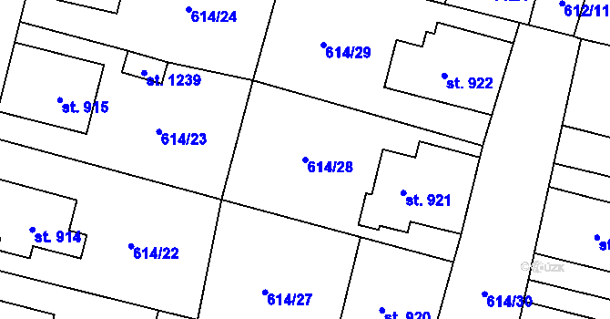 Parcela st. 614/28 v KÚ Libochovice, Katastrální mapa