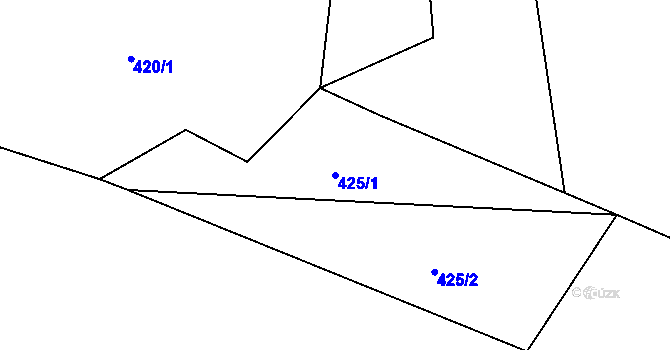 Parcela st. 425/1 v KÚ Libošovice, Katastrální mapa