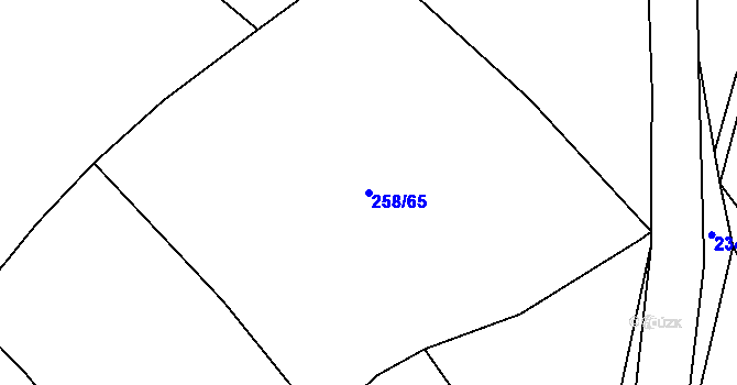 Parcela st. 258/65 v KÚ Libošovice, Katastrální mapa