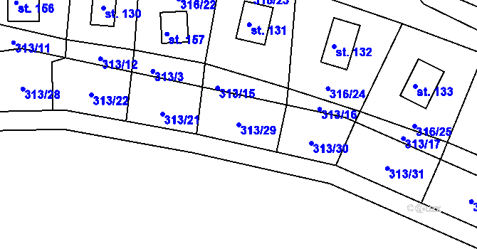 Parcela st. 313/29 v KÚ Děkanské Skaliny, Katastrální mapa