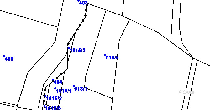 Parcela st. 918/5 v KÚ Lípa u Havlíčkova Brodu, Katastrální mapa