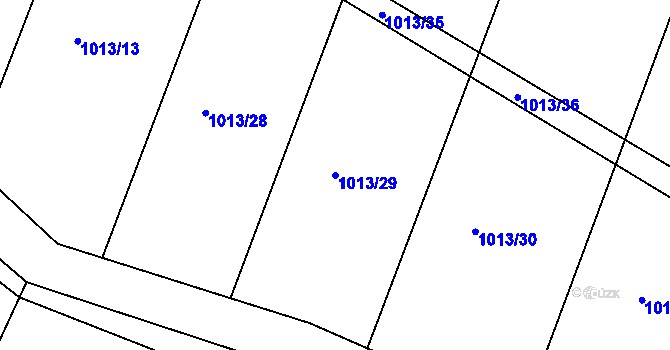 Parcela st. 1013/29 v KÚ Lípa nad Orlicí, Katastrální mapa