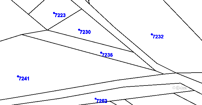 Parcela st. 7236 v KÚ Lipov, Katastrální mapa