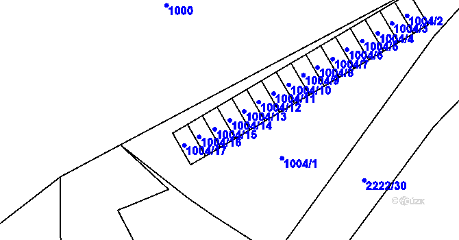 Parcela st. 1004/14 v KÚ Dolní Lipová, Katastrální mapa