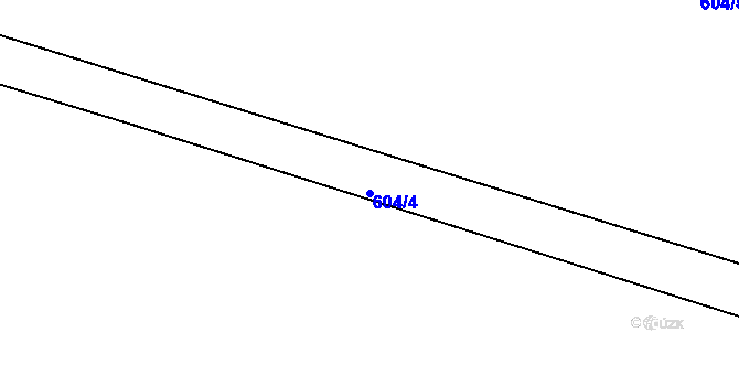 Parcela st. 604/4 v KÚ Lipovka u Rychnova nad Kněžnou, Katastrální mapa