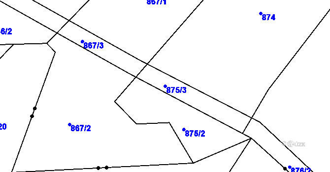 Parcela st. 875/3 v KÚ Levín u Lišova, Katastrální mapa