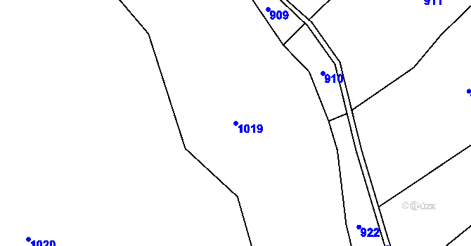 Parcela st. 1019 v KÚ Levín u Lišova, Katastrální mapa