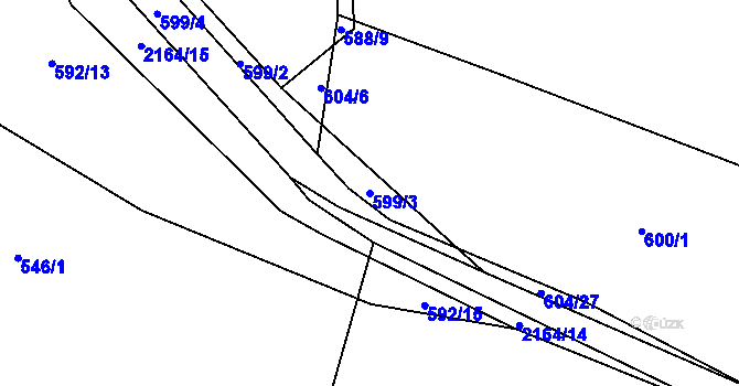 Parcela st. 599/3 v KÚ Lišov, Katastrální mapa
