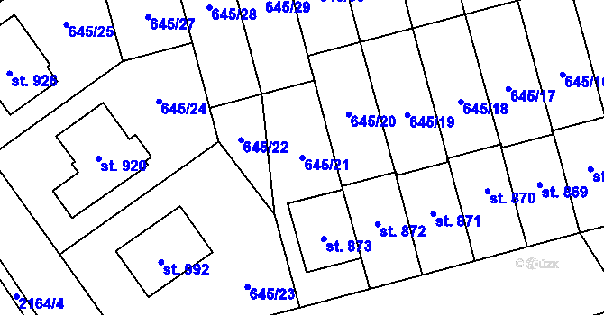 Parcela st. 645/21 v KÚ Lišov, Katastrální mapa