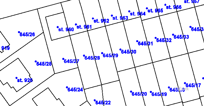 Parcela st. 645/29 v KÚ Lišov, Katastrální mapa